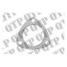 Exhaust Elbow Gasket (Pack de 2)