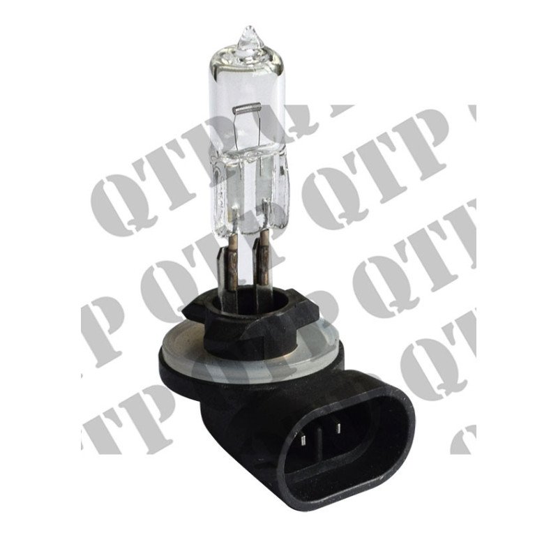 Ampoule (Pack de 10)